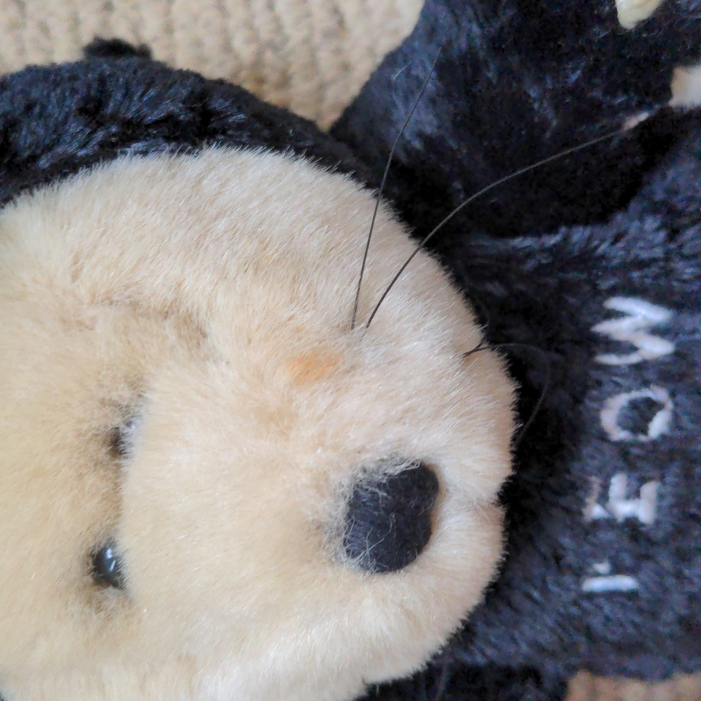Starbucks Bearista Halloween Black Cat Bear Plush 2002 - Picture 4 of 6
